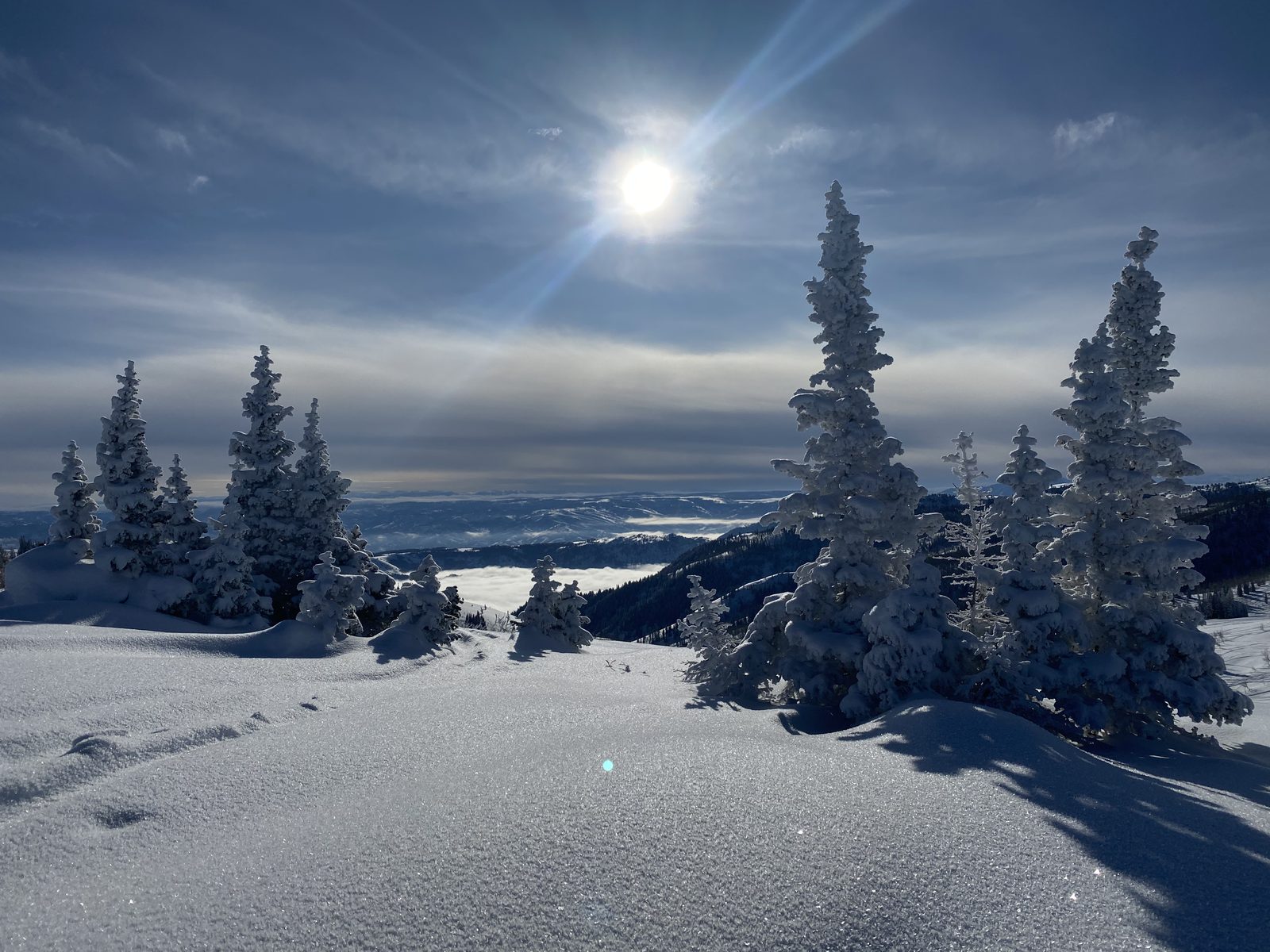 Bluebird Powder Day