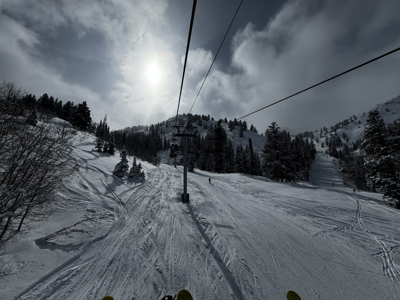 Up the Mountain