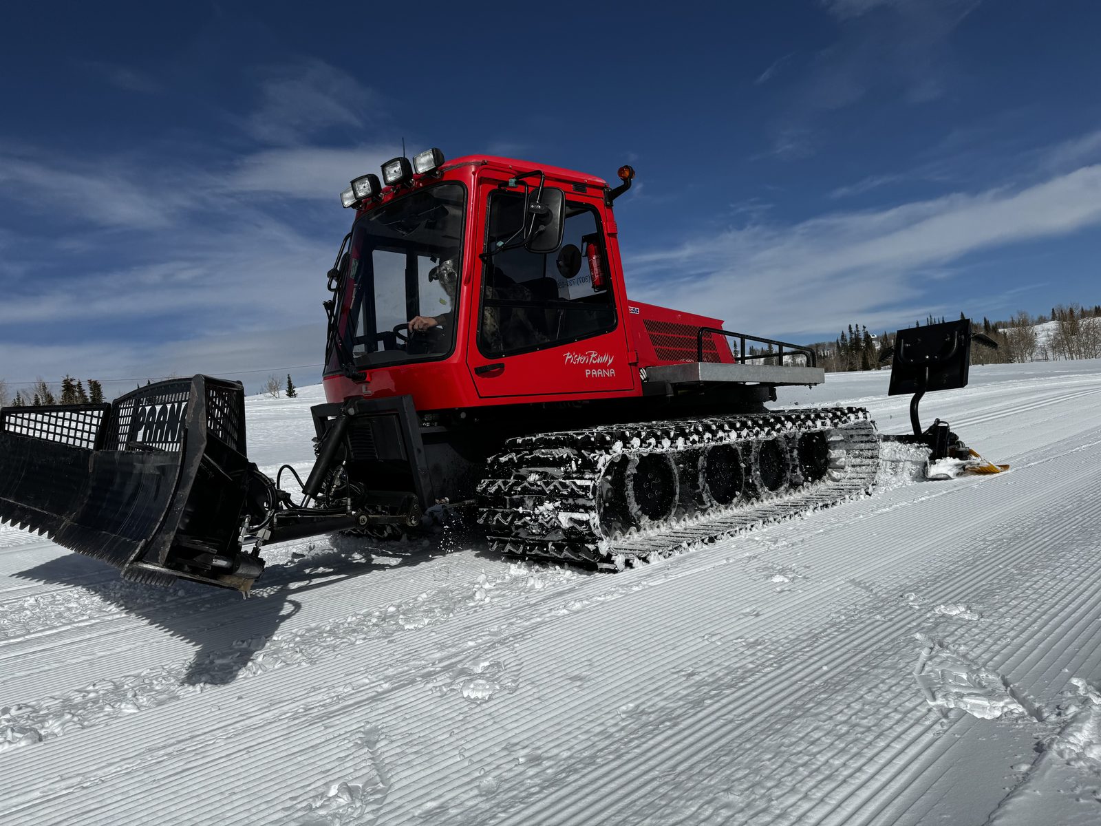 Grooming the Runs
