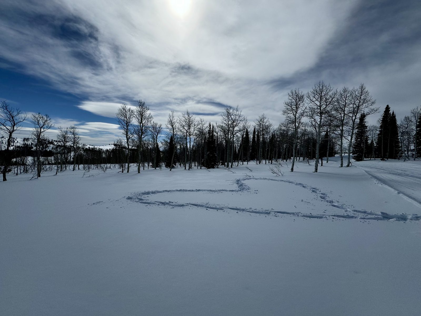 Heart in the Snow